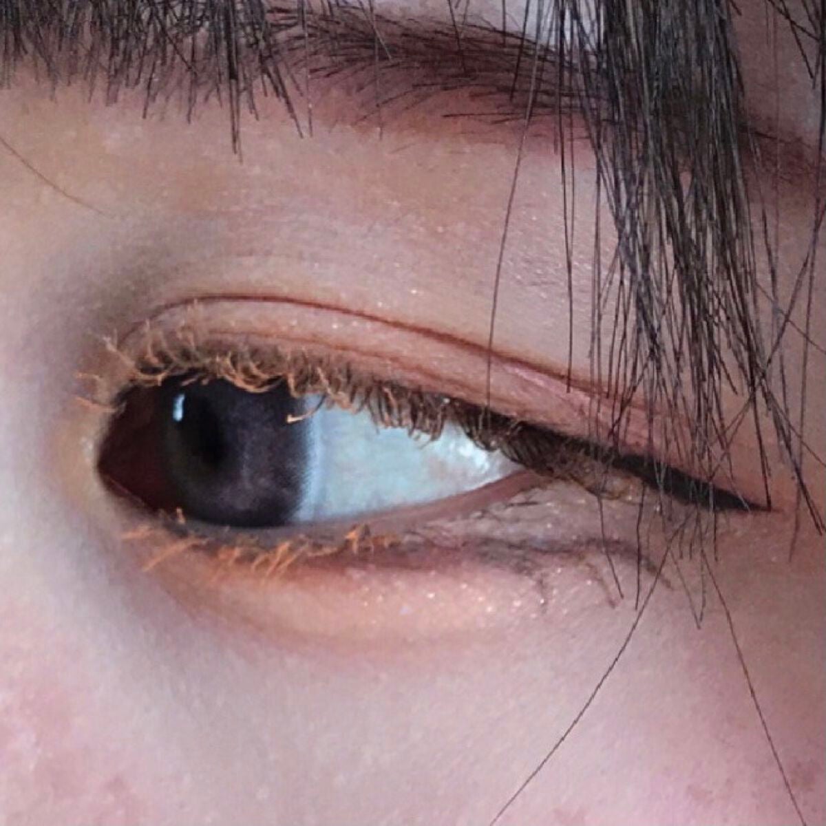 クイックラッシュカーラー/キャンメイク/マスカラ下地を使ったクチコミ(3枚目)