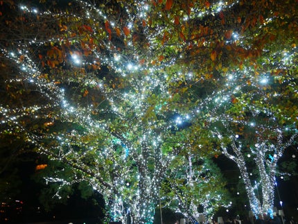 카코얀(かこやん) on LIPS 「メリークリスマス🎄🎁#クリスマス..」(2枚目)