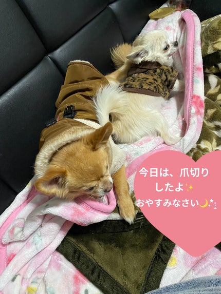 Ayur Time(アーユルタイム)/アーユルタイム/無機塩系入浴剤を使ったクチコミ(7枚目)