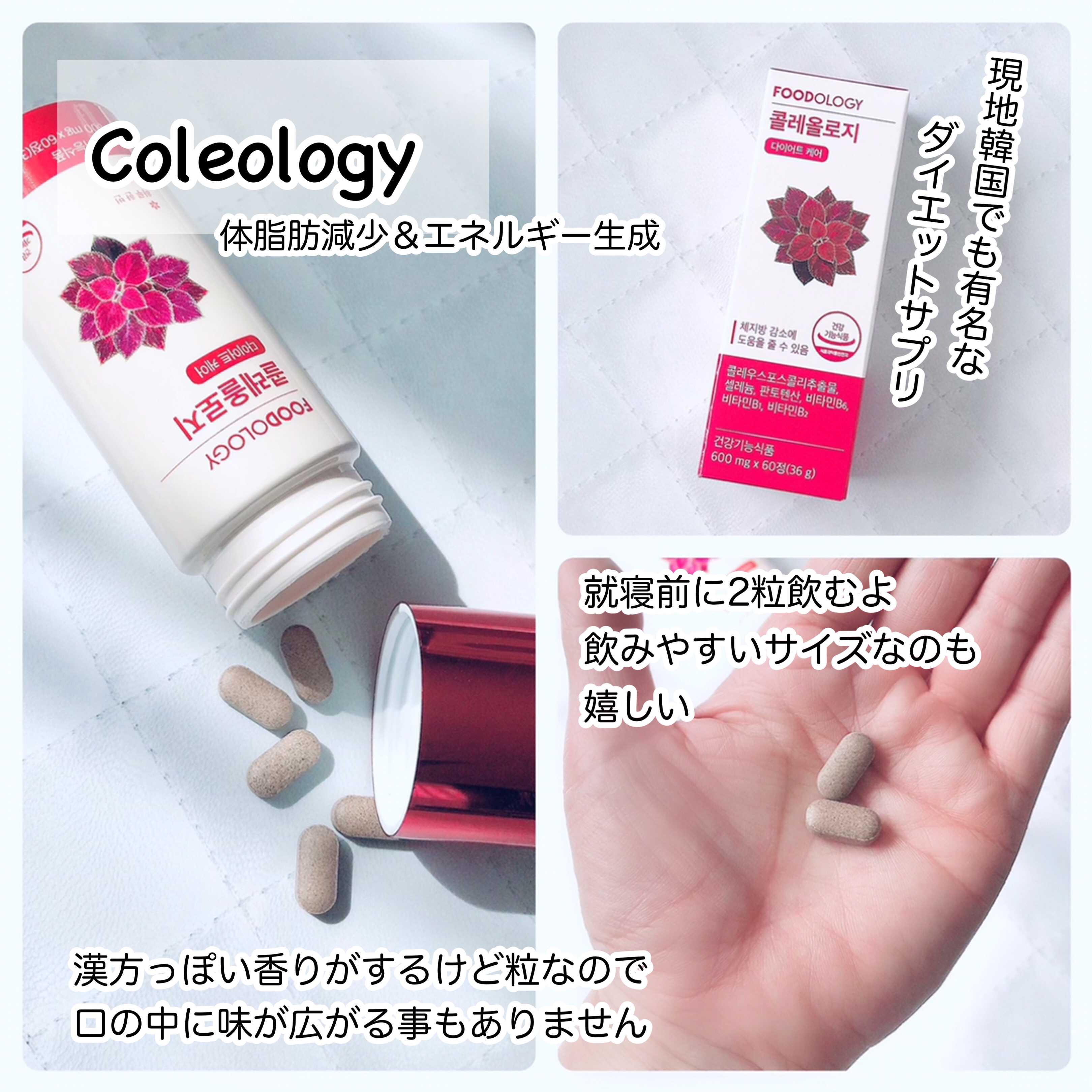 コレオロジーティー｜FOODOLOGYの口コミ - 🌈ダイエットの季節