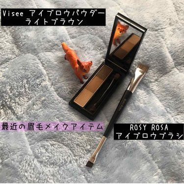 Viseeのアイブロウパウダー
最近、髪色をブラウンにしたのでブラウン系のアイブロウパウダーを買ってみました。

●Viseeリシェ アイブロウパウダーBR-1

因みに髪が紫やった時はViseeのピン