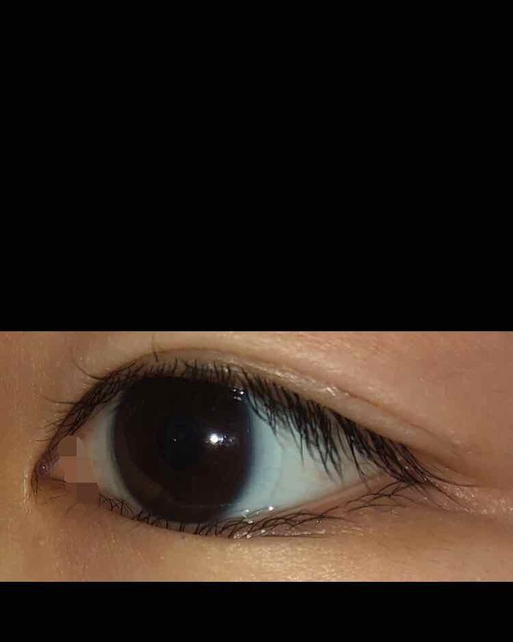 まつげ美容液EX/CEZANNE/まつげ美容液を使ったクチコミ(1枚目)