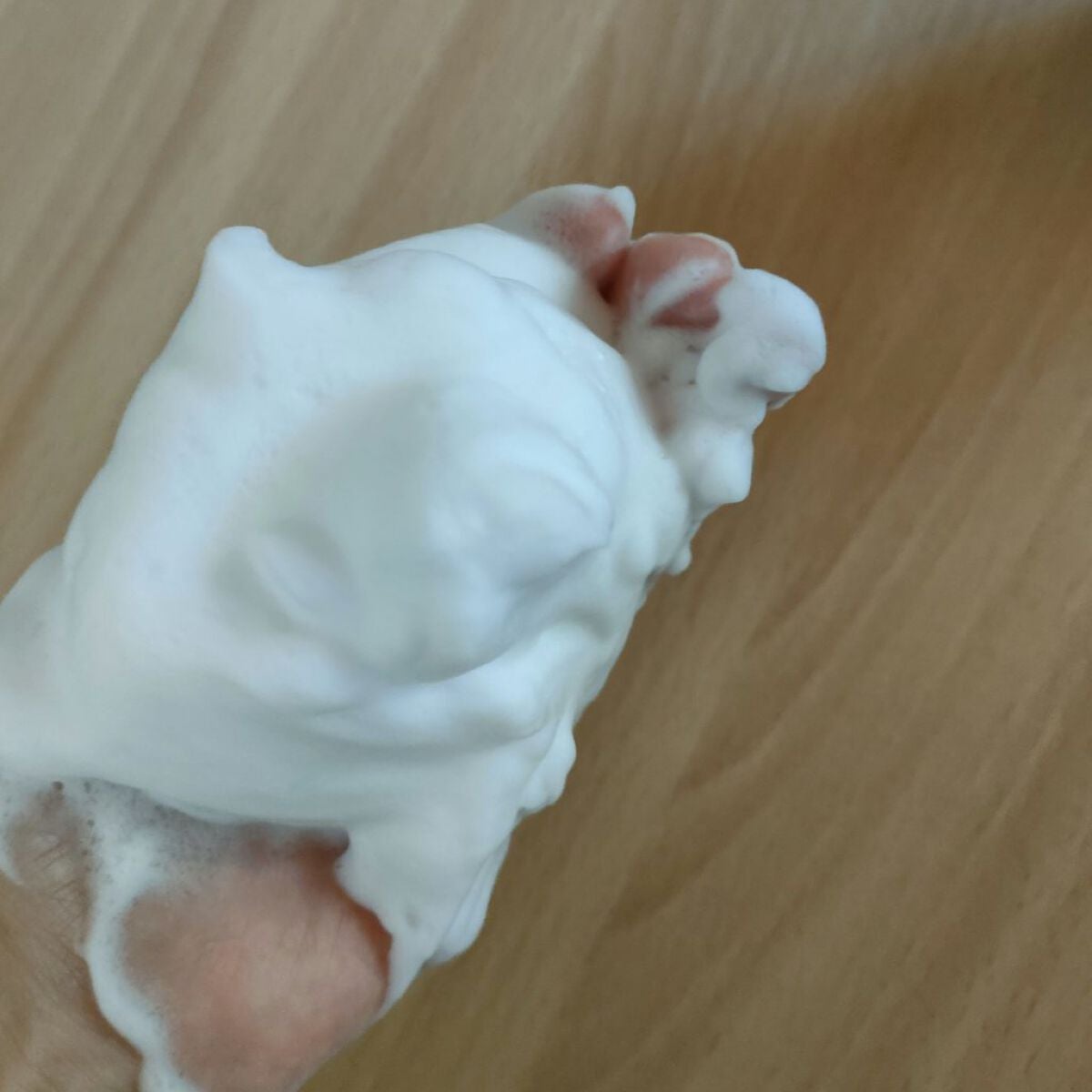 ノーモアブラックヘッド(ノーズピーリング)/One-day's you/スクラブ・ゴマージュを使ったクチコミ(6枚目)