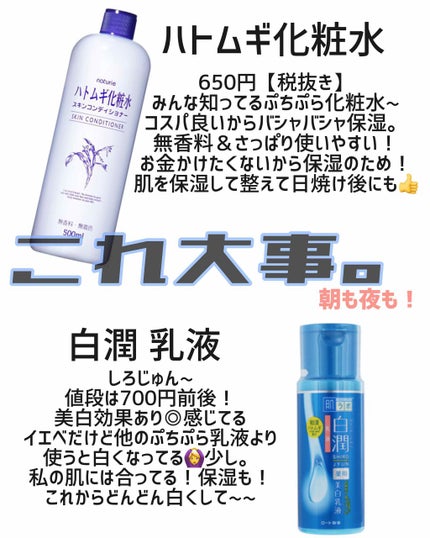 ハトムギ化粧水(ナチュリエ スキンコンディショナー R )/ナチュリエ/化粧水を使ったクチコミ(3枚目)