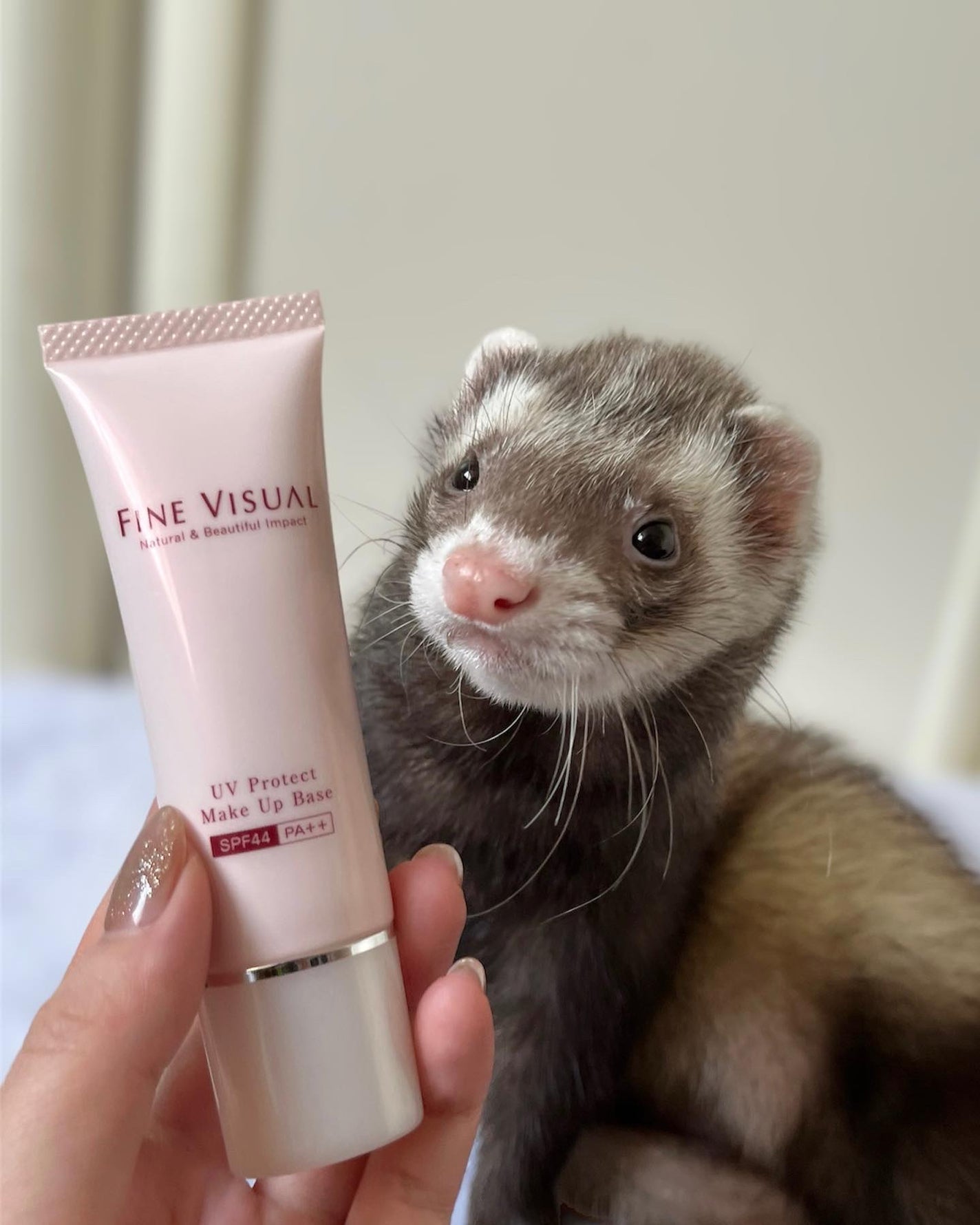 UVプロテクト メイクアップベース/FINE VISUAL/化粧下地を使ったクチコミ(1枚目)