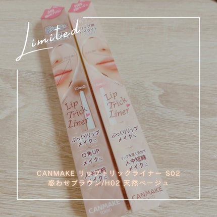 リップトリックライナー S02 惑わせブラウン/キャンメイク/リップライナーを使ったクチコミ(1枚目)