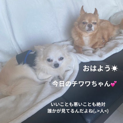 ロング&カールマスカラ アドバンストフィルム/ヒロインメイク/マスカラを使ったクチコミ(8枚目)