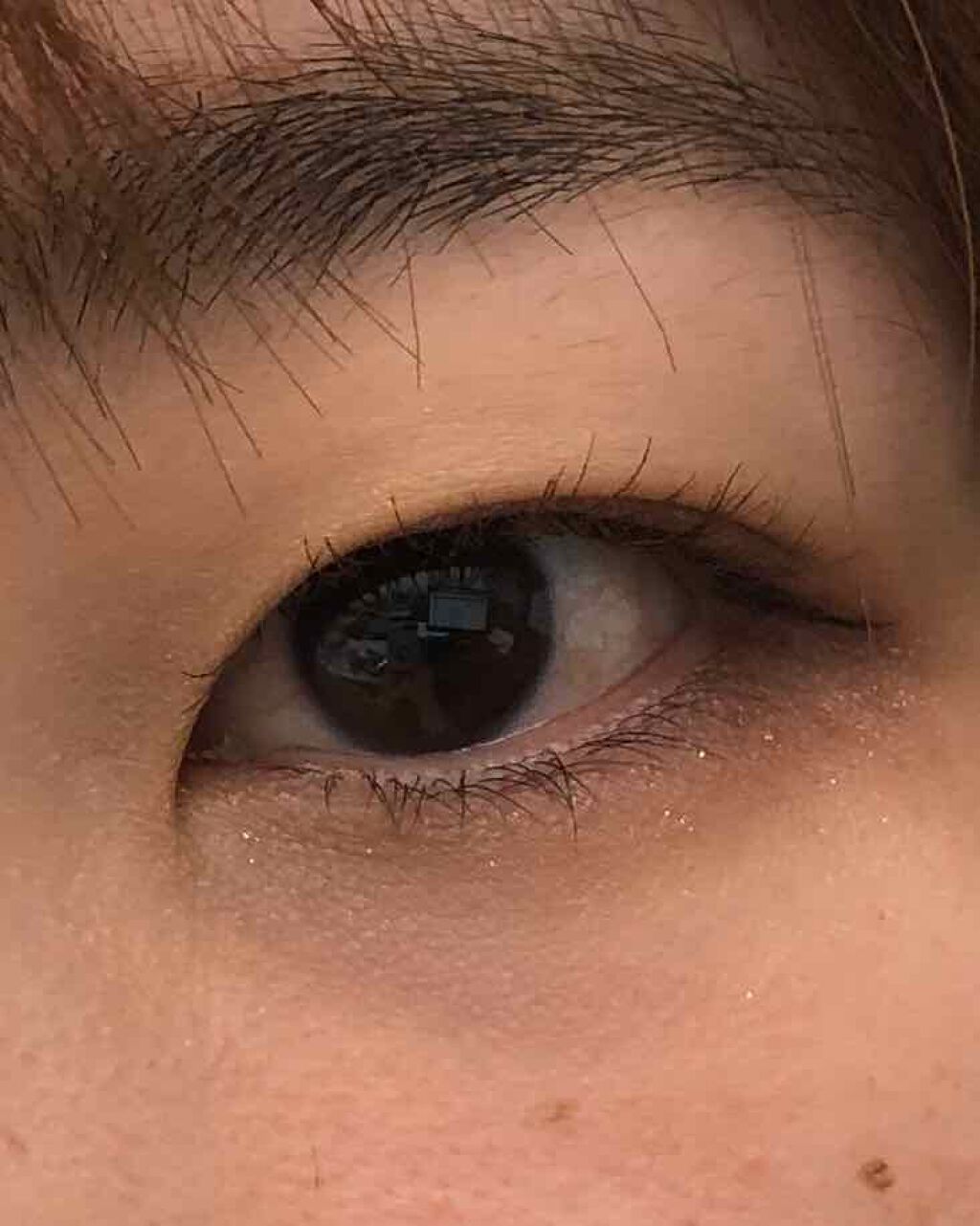 シングルカラーアイシャドウ/CEZANNE/単色アイシャドウを使ったクチコミ（1枚目）