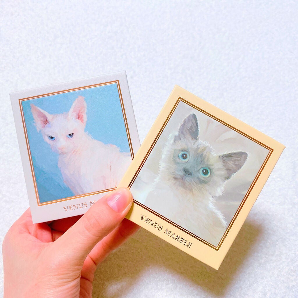 Venus Marble アイシャドウキャットシリーズ/Venus Marble/アイシャドウパレットを使ったクチコミ(5枚目)