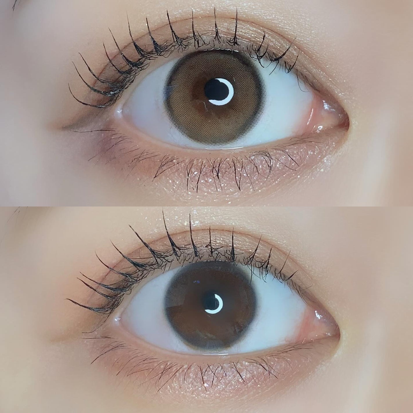 pui @カラコンオタク on LIPS 「-̗̀大人気韓国カラコンユリアルもメガ割参戦!̖́-𓂃𓂃𓂃𓂃𓂃..」(5枚目)