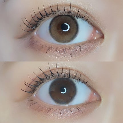 pui @カラコンオタク on LIPS 「-̗̀大人気韓国カラコンユリアルもメガ割参戦!̖́-𓂃𓂃𓂃𓂃𓂃..」(5枚目)