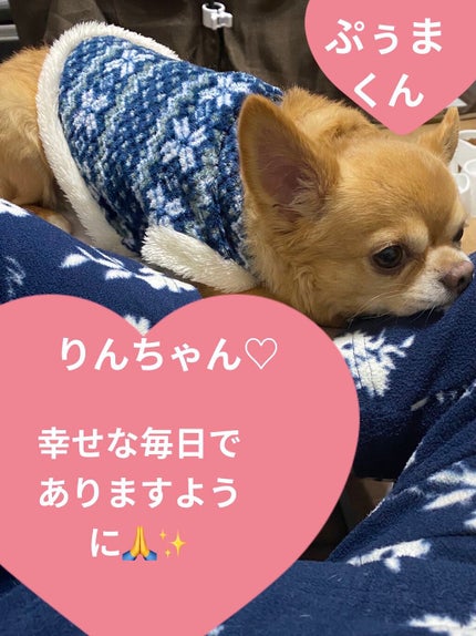 ル・ヌフ・ジバンシイ/GIVENCHY/アイシャドウパレットを使ったクチコミ(5枚目)