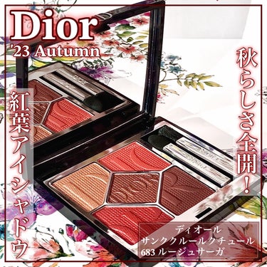 ディオールショウ サンク クルール/Dior/アイシャドウを使ったクチコミ（1枚目）