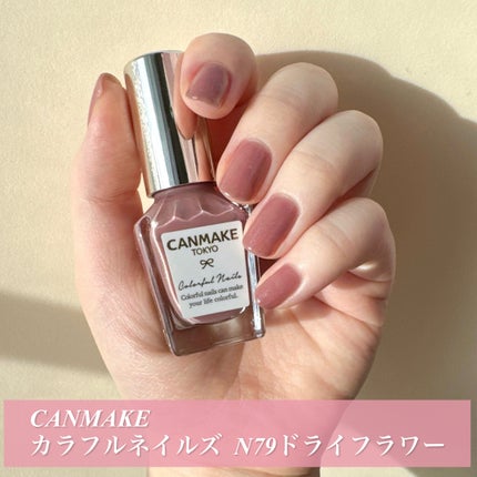 カラフルネイルズ N79 ドライフラワー/キャンメイク/マニキュアの画像