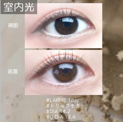 LARME 1month silicone/LARME/1ヶ月(1MONTH)カラコンを使ったクチコミ(3枚目)