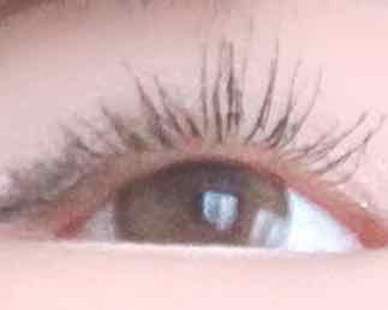 ラッシュフォーマーWP(ロング)/KATE/マスカラを使ったクチコミ(2枚目)