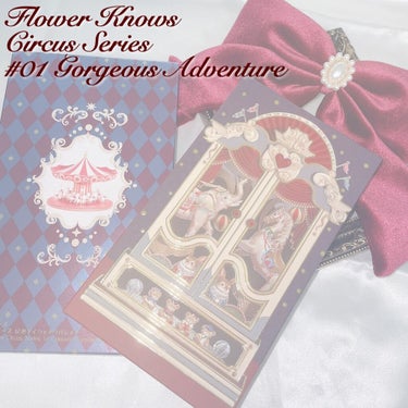 サーカスシリーズ12色アイシャドウパレット   01 Gorgeous Adventure/FlowerKnows/アイシャドウパレットを使ったクチコミ（1枚目）