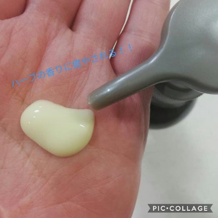 ボディミルク/Lala Vie/ボディミルクを使ったクチコミ(3枚目)