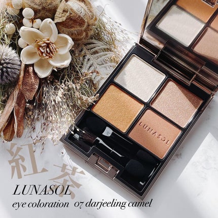 アイカラーレーション/LUNASOL/アイシャドウパレットを使ったクチコミ(1枚目)