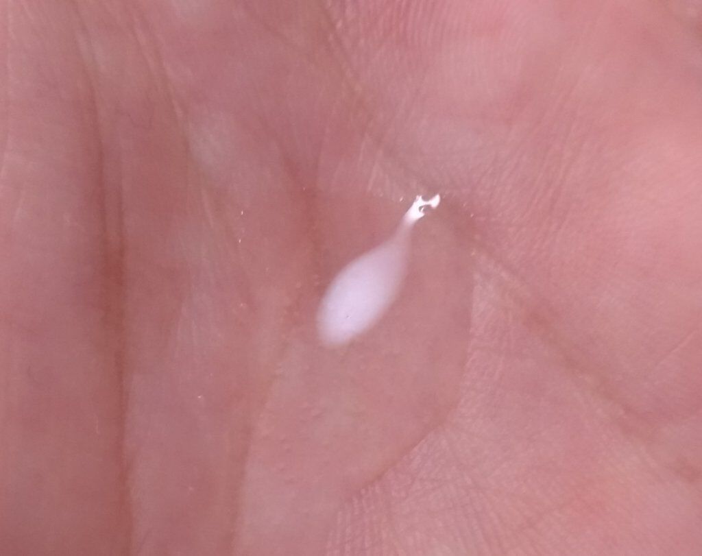 潤馬化粧養油/KUMAMOTO/フェイスオイルを使ったクチコミ（2枚目）