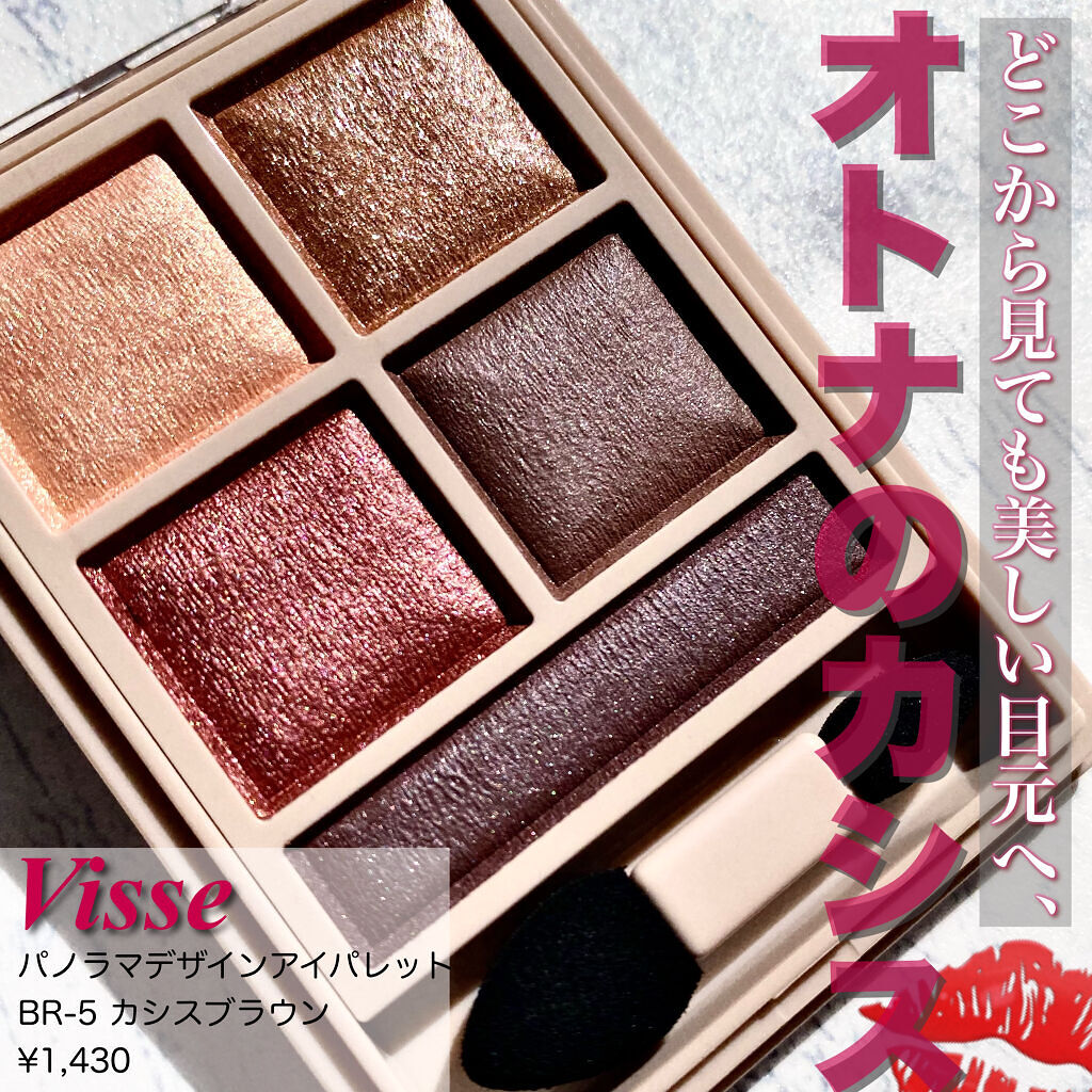 パノラマデザイン アイパレット/Visée/アイシャドウパレットを使ったクチコミ（1枚目）