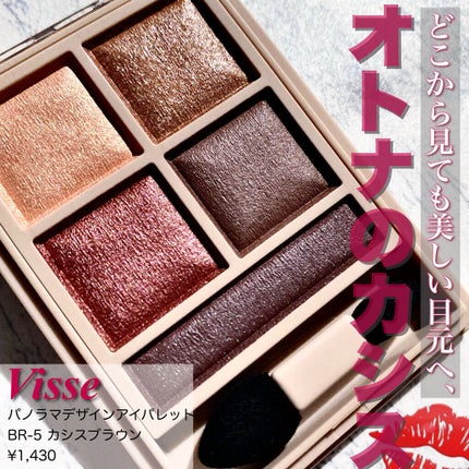 パノラマデザイン アイパレット/Visée/アイシャドウパレットを使ったクチコミ(1枚目)