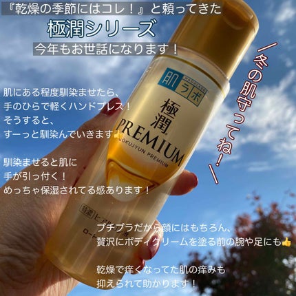 極潤プレミアムヒアルロン液(ハダラボスーパーモイスト化粧水c)/肌ラボ/化粧水を使ったクチコミ(3枚目)