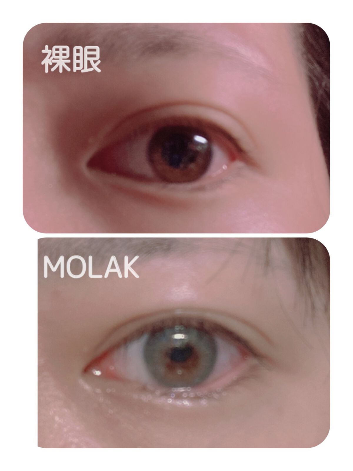 MOLAK 1month ミラーグレー/MOLAK/１ヶ月（１MONTH）カラコンを使ったクチコミ（2枚目）