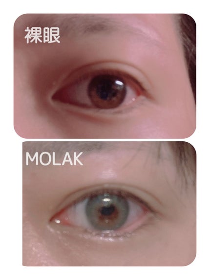 MOLAK 1month/MOLAK/1ヶ月(1MONTH)カラコンを使ったクチコミ(2枚目)