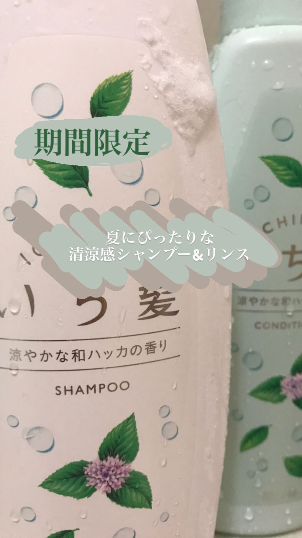 なめらかスムースケア シャンプー／コンディショナー/いち髪/シャンプー・コンディショナーを使ったクチコミ（1枚目）