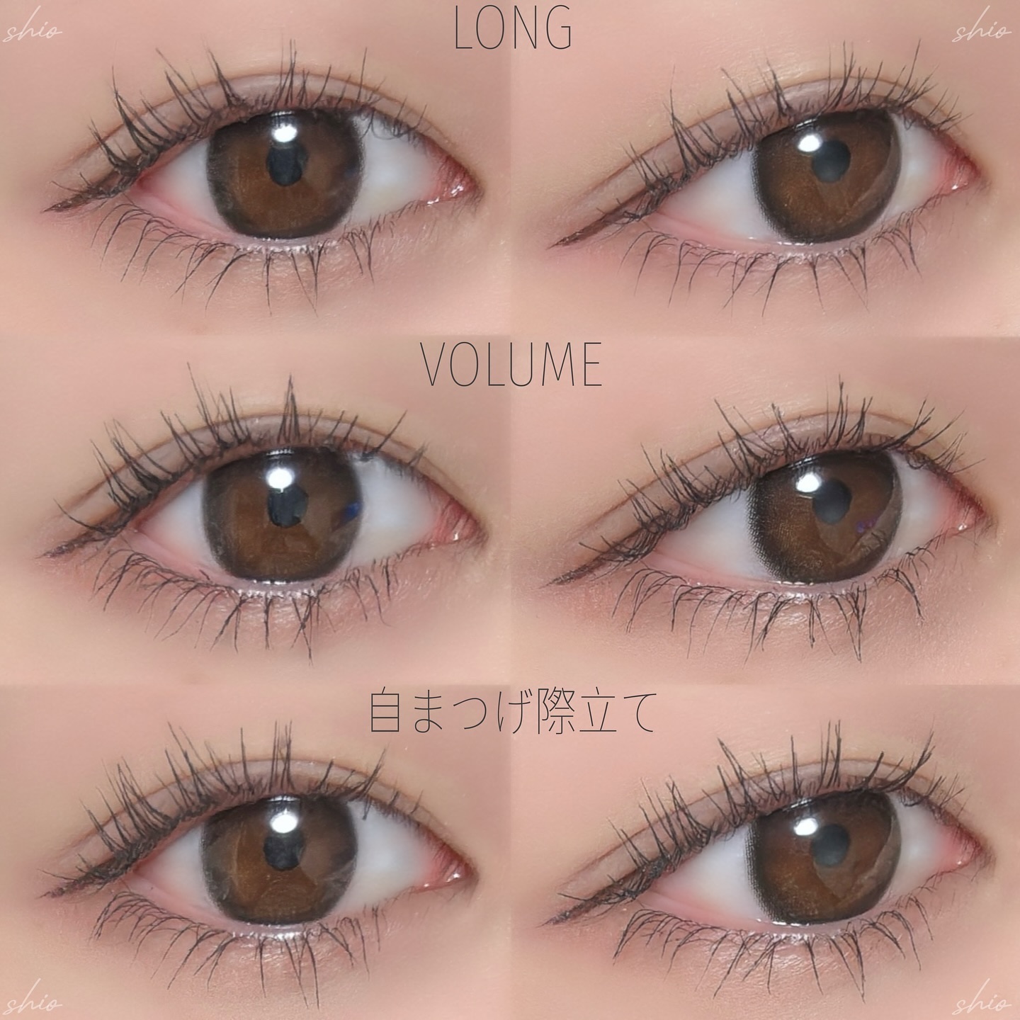「塗るつけまつげ」ロングタイプ/デジャヴュ/マスカラを使ったクチコミ（3枚目）