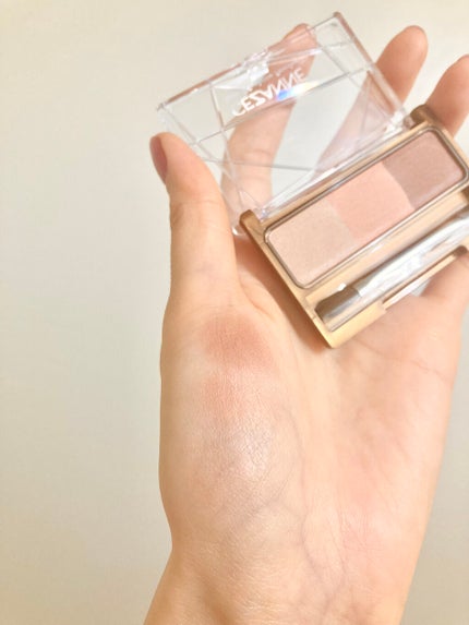 ノーズ&アイブロウパウダー/CEZANNE/パウダーアイブロウを使ったクチコミ(4枚目)