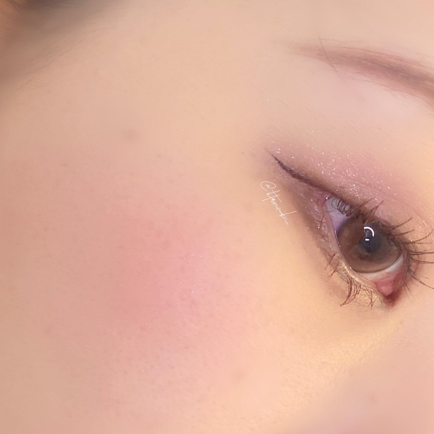 ブラーフィニシュブラッシャー/Dinto/パウダーチークを使ったクチコミ(4枚目)