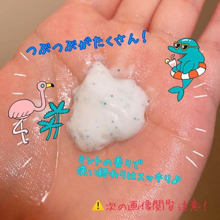 フェイスポリッシャー リフレッシング(ミント)/SABON/スクラブ・ゴマージュを使ったクチコミ(2枚目)