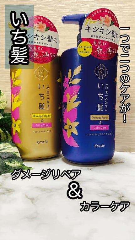 ダメージリペア&カラーケア シャンプー/コンディショナー/いち髪/市販シャンプーを使ったクチコミ(1枚目)