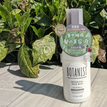 BOTANIST ボタニカルヘアミルク（ダメージケア）のクチコミ「洗い流さないヘアトリートメント。
ボタニカルへアミルク を使ってみました👏👏👏

🔸髪の水分油.....」（3枚目）