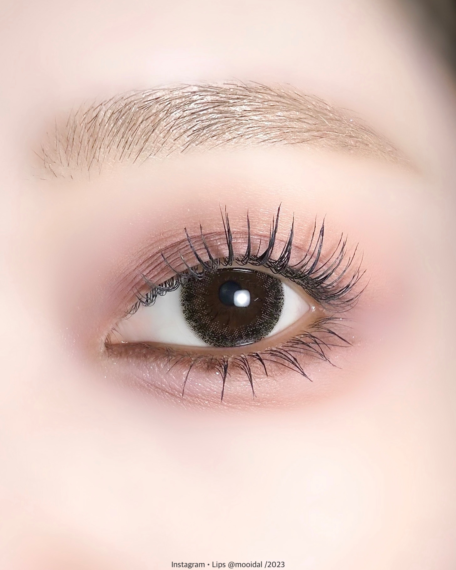 Cherir by Diya（シェリールbyダイヤ）/Diya/２週間（２WEEKS）カラコンを使ったクチコミ（3枚目）