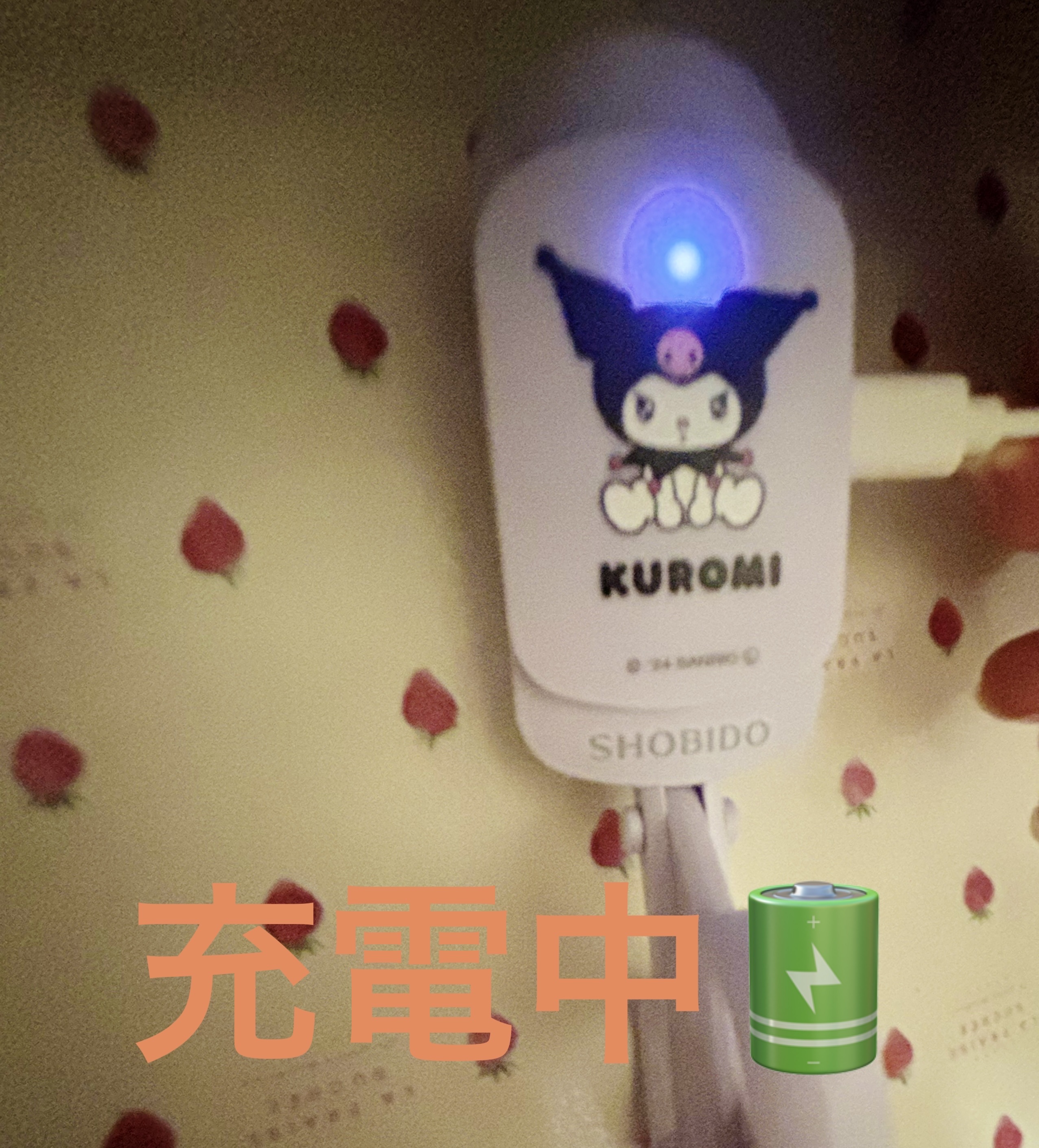 エッジフリー アイラッシュカーラー/マキアージュ/ビューラーを使ったクチコミ（3枚目）