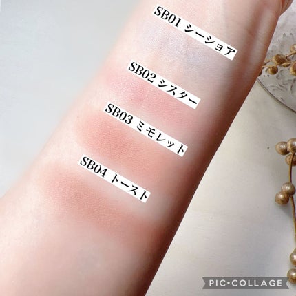 スキニーリッチシャドウ/excel/アイシャドウパレットを使ったクチコミ(8枚目)