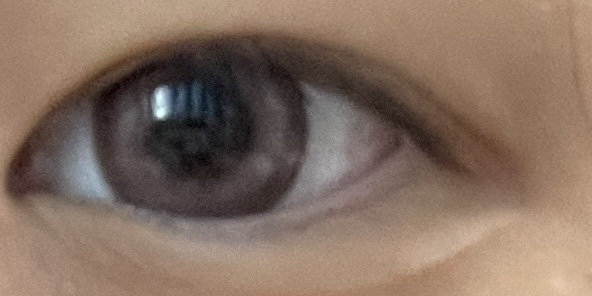 Angelcolor Bambi Series 1day  ローズベージュ(WEB限定カラー)/AngelColor/ワンデー（１DAY）カラコンを使ったクチコミ（3枚目）