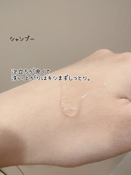 リポアシャンプー/リポアトリートメント/plus eau/市販シャンプーを使ったクチコミ(2枚目)