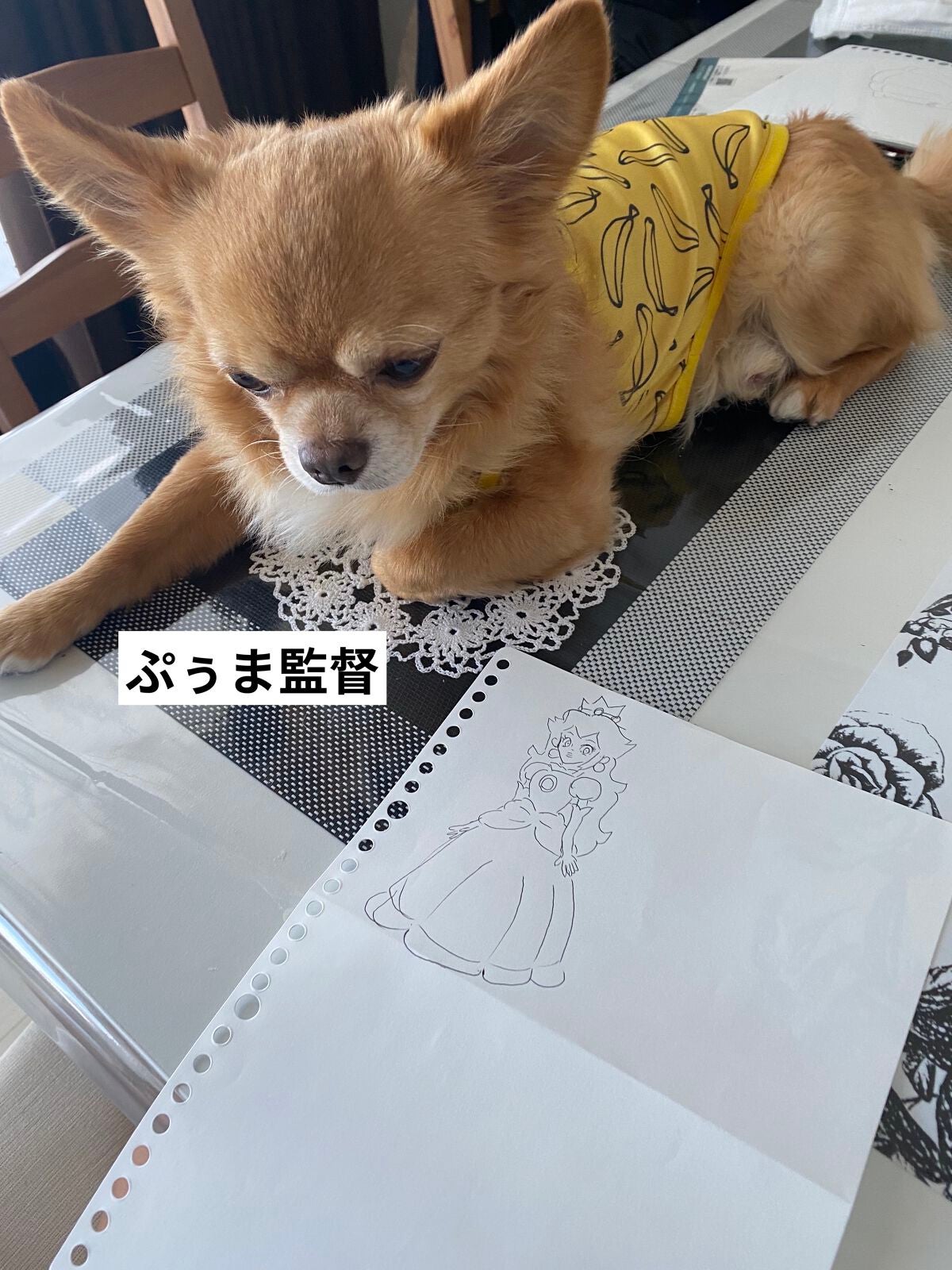 クレーム アブリコ/Dior/ネイル用品を使ったクチコミ(6枚目)