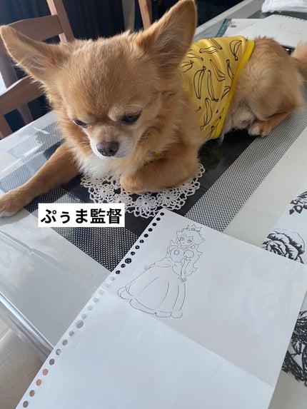 クレーム アブリコ/Dior/ネイル用品を使ったクチコミ(6枚目)