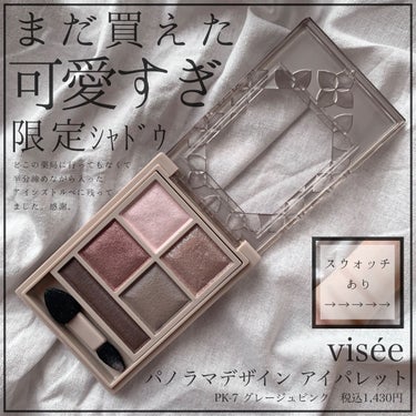 パノラマデザイン アイパレット/Visée/アイシャドウパレットを使ったクチコミ（1枚目）