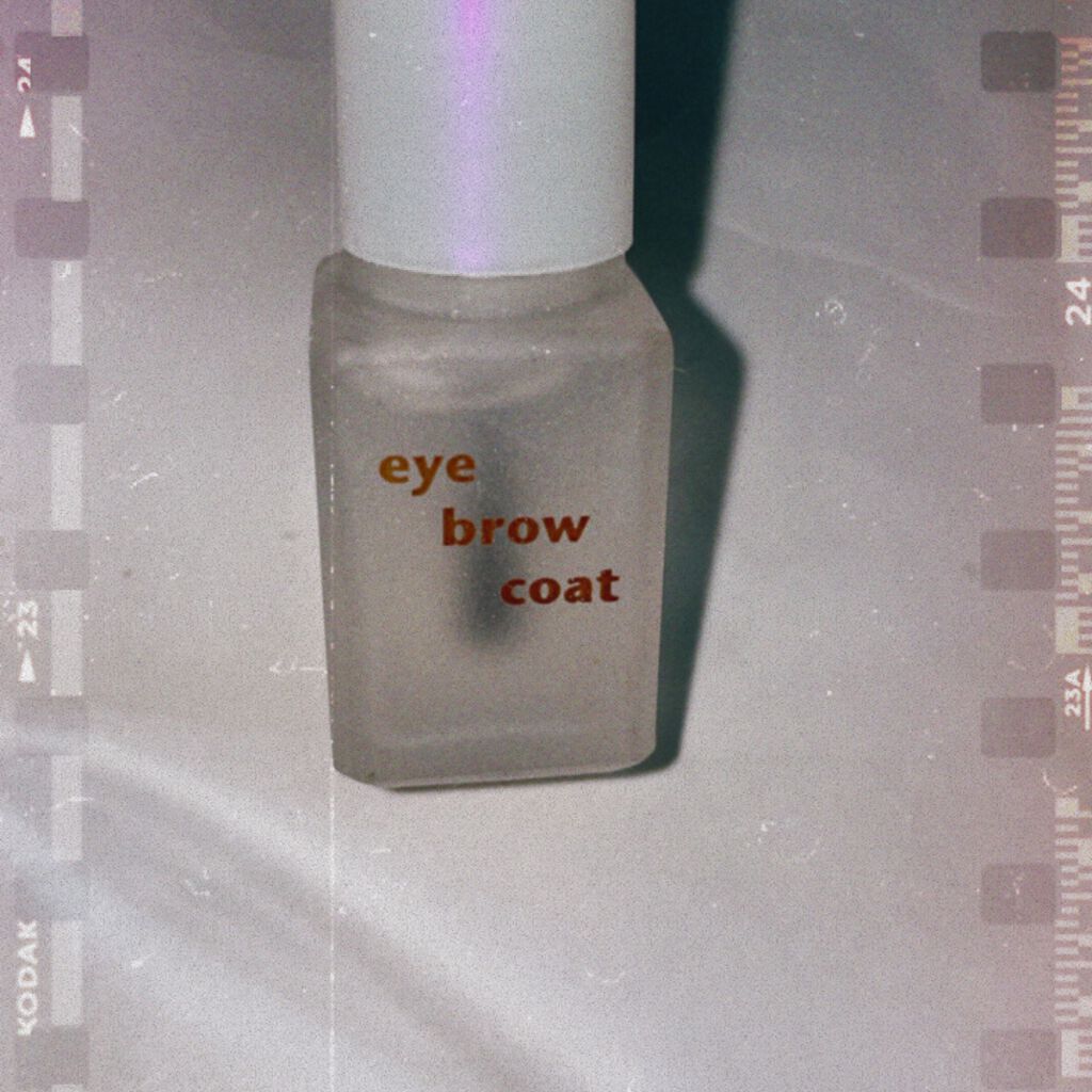 エバビレーナ アイブローコート/DAISO/アイブロウコートを使ったクチコミ（1枚目）