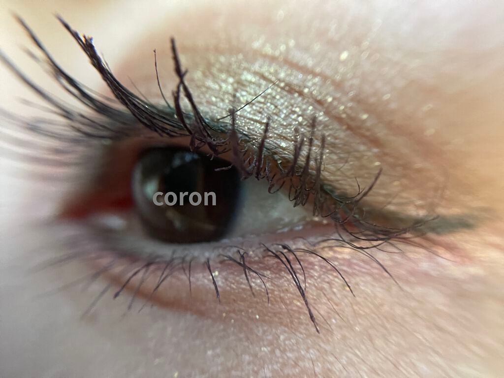 パンプキン スパイス アイシャドウ パレット(旧)/Too Faced/アイシャドウパレットを使ったクチコミ(7枚目)