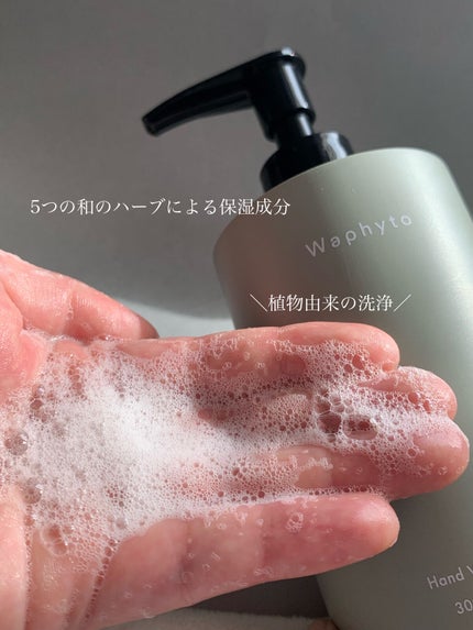 Hand Cream ハンドクリーム/Waphyto/ハンドクリームを使ったクチコミ(3枚目)