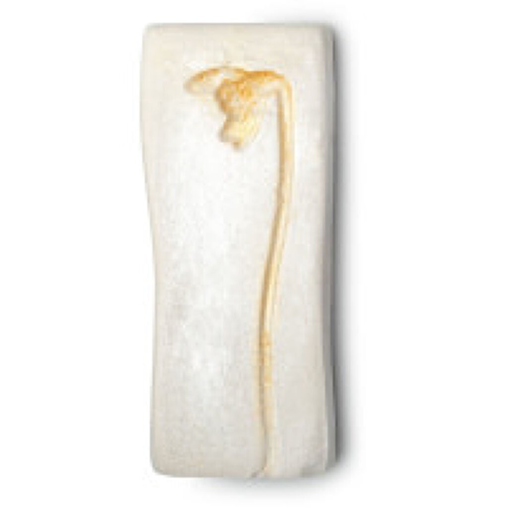 シルバー ウィング ラッシュ