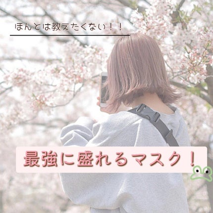 を使ったクチコミ(1枚目)