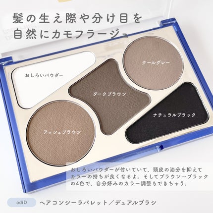 アーティストライン ヘアコンシーラーパレット/odiD/その他スタイリングを使ったクチコミ(2枚目)